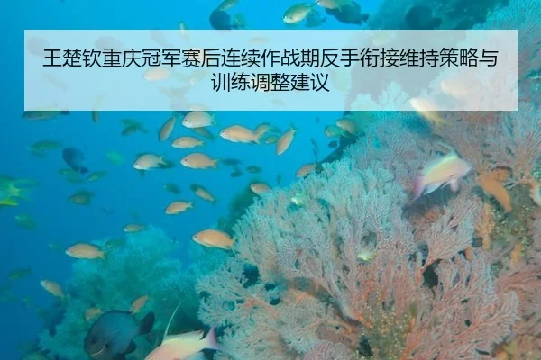 王楚钦重庆冠军赛后连续作战期反手衔接维持策略与训练调整建议
